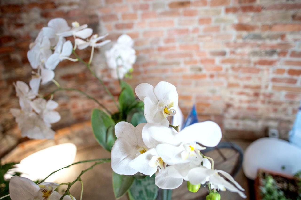 La Canonica - Charming Self-Catering Apartments In ニッツァ・モンフェッラート エクステリア 写真